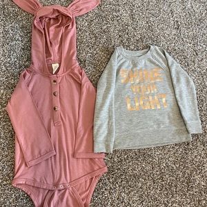 ⚡️SOLD⚡️ Toddler girl long sleeve bundle